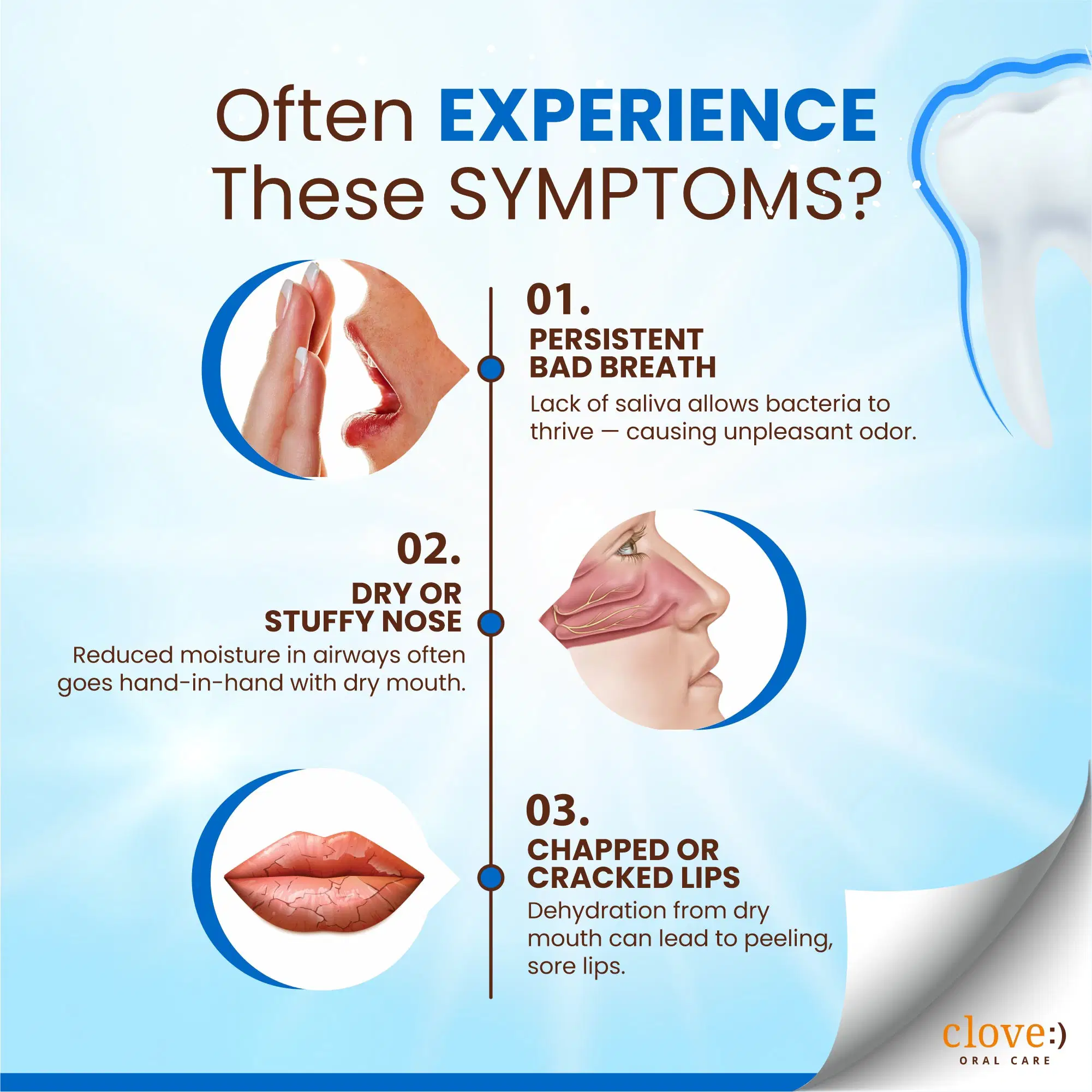 Clove Hydrate Toothpaste - Image 6